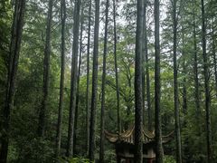 -波尔登森林公园