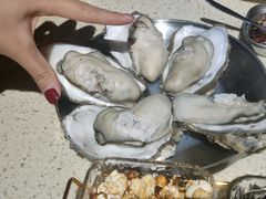 -蚝堡·生蚝海鲜烧烤物种起源•海肠捞饭(刘公岛店)