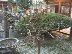 -西安化觉巷清真大寺