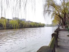 -运河游船(武林门码头)