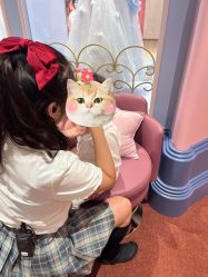 -奈尔宝家庭中心·亲子早教·派对餐厅(北京东坝万达店)