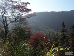 -广州市石门国家森林公园