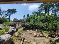 -宁波野生动物园