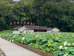 -古田会议纪念馆