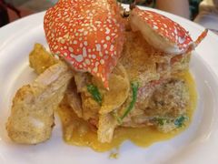 -Red Lobster