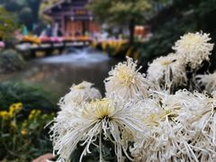 -杭州植物园