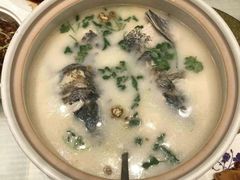 -同济大酒店(绿宝广场店)