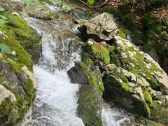 -本溪汤沟绿石谷森林公园