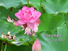 -沐仙湖湿地公园