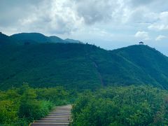 -大围山国家森林公园