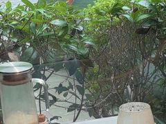 -台鄉缘 ·小海鲜·台州菜(桃林路店)