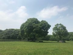 -艾溪湖湿地公园