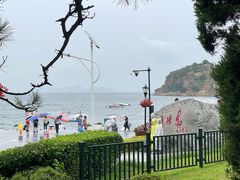 -棒棰岛宾馆景区