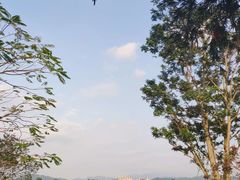 -鹤之洲湿地公园