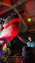 -恐龙探索乐园(磁器口店)