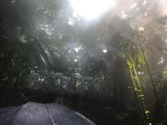 -青青世界