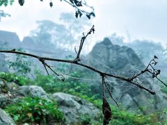 -秦岭终南山世界地质公园翠华山景区