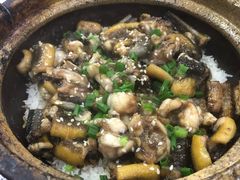 -红星光发煲仔饭(大石街店)