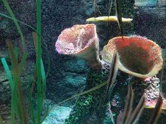 -沈阳海洋探索中心