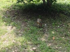 -合肥野生动物园