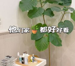 -芙罗拉·Flower Nail美甲美睫