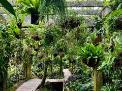 -中国科学院西双版纳热带植物园