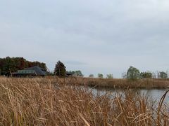 -苏州太湖湖滨国家湿地公园