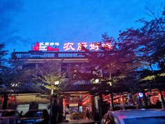 -农厨好味·温泉鹅·农家菜