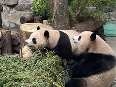 -杭州动物园