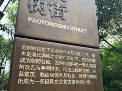 -泡桐树街
