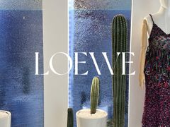 -LOEWE罗意威(北京SKP女装店(一层))