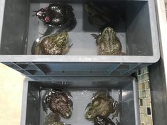 -双井轩(双井店)