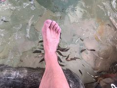 -天目湖涵田半山温泉