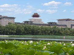 -莲花池公园