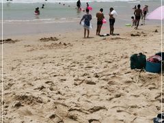 -西涌国际滨海旅游区