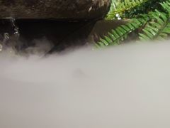 -鲜丰水果(重庆天和路店)