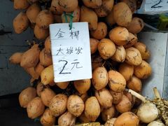 -三亚新鸿港水果一级批发市场