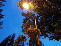 -长春公园(普阳街道)