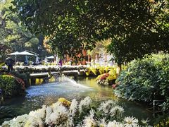-杭州植物园
