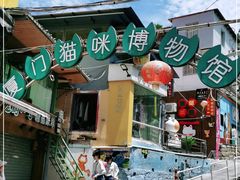 -猫咪博物馆(顶澳仔猫街店)