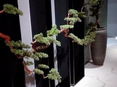 -璞·澐间影院式足道SPA(尚悦湾店)