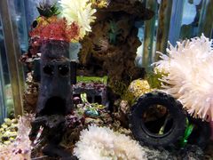 -太平洋海底世界