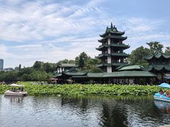 -桂湖森林公园