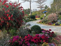 -东莞植物园