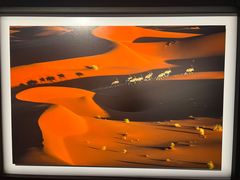 -罗红摄影艺术馆