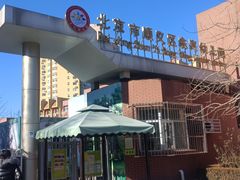 -北京市顺义区东兴幼儿园