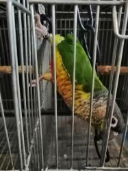 -日月刺青工作室·高端纹身