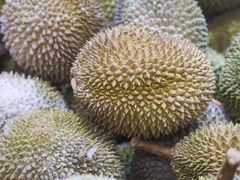 -开皇马来西亚榴莲美食店(华强北店)