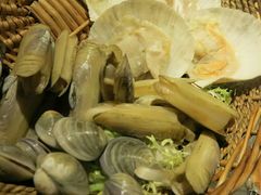 -上海浦东康桥绿地假日酒店