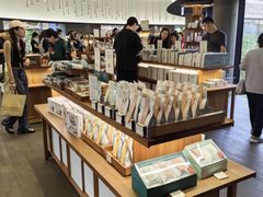 -雪绿茶博物馆